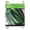 2 stuks Courgette Black Beauty Verte De Milan