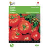 2 stuks Tomaten Moneymaker