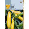 Hortitops - HTS Courgette Sunstripe F1, geel
