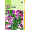 Hortitops - 2 stuks Lathyrus odoratus Royal Family gemengd