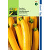 2 stuks HT Courgette Gold Rush F1