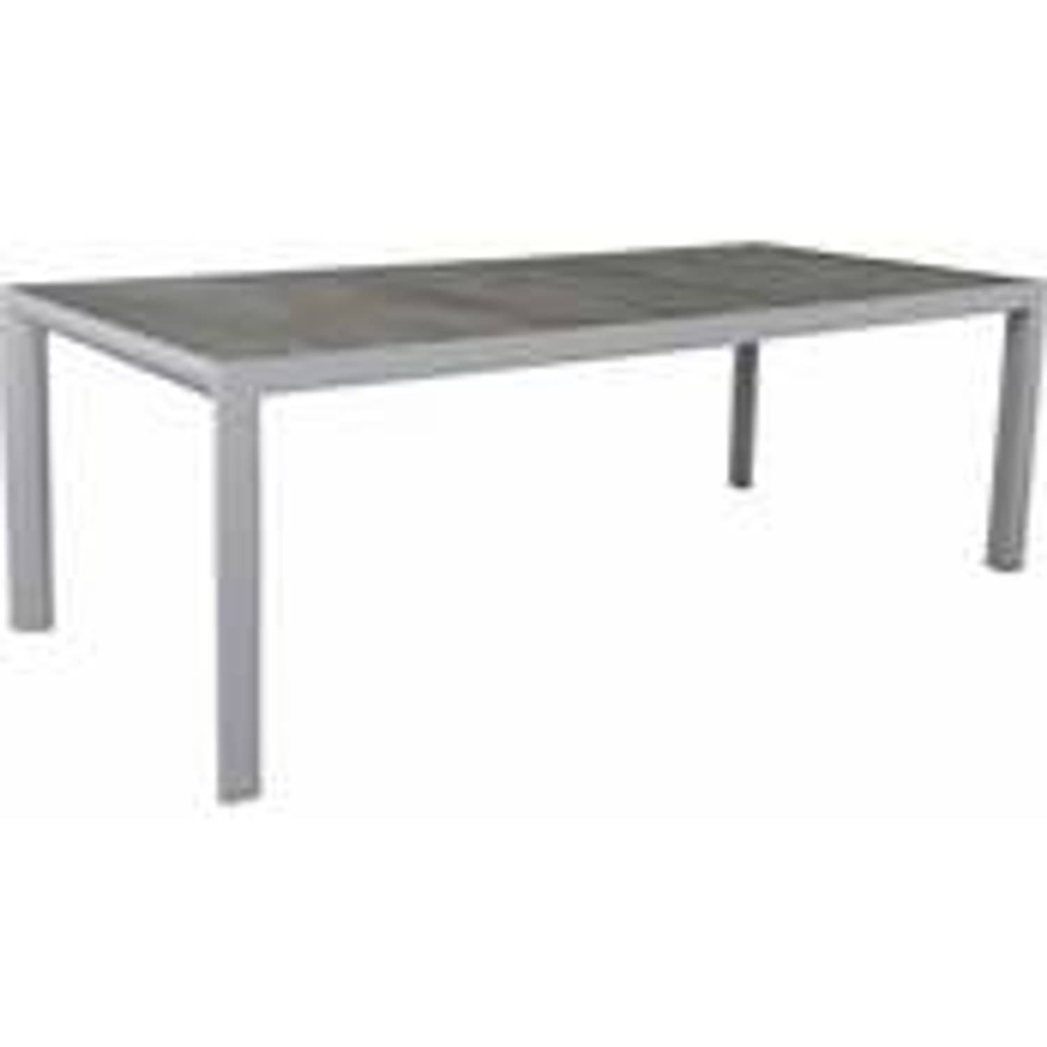 Driesprong Collection - Santos dinning tafel 220x100cm light grey