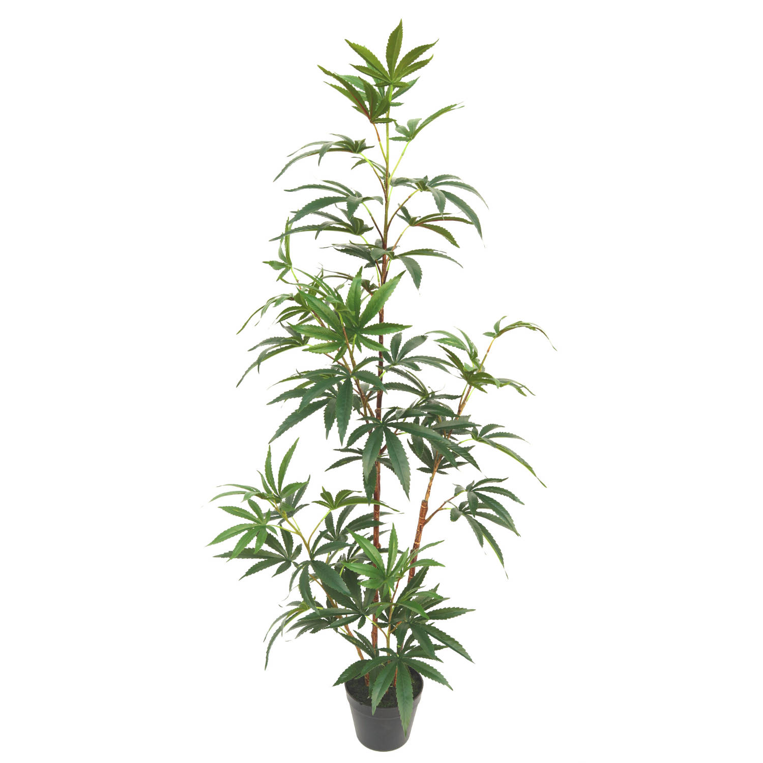 Aralia Kunstplant 130cm | Kunstplant voor binnen | Kunst Aralia plant | Middelgrote kunstplant | Nep Aralia