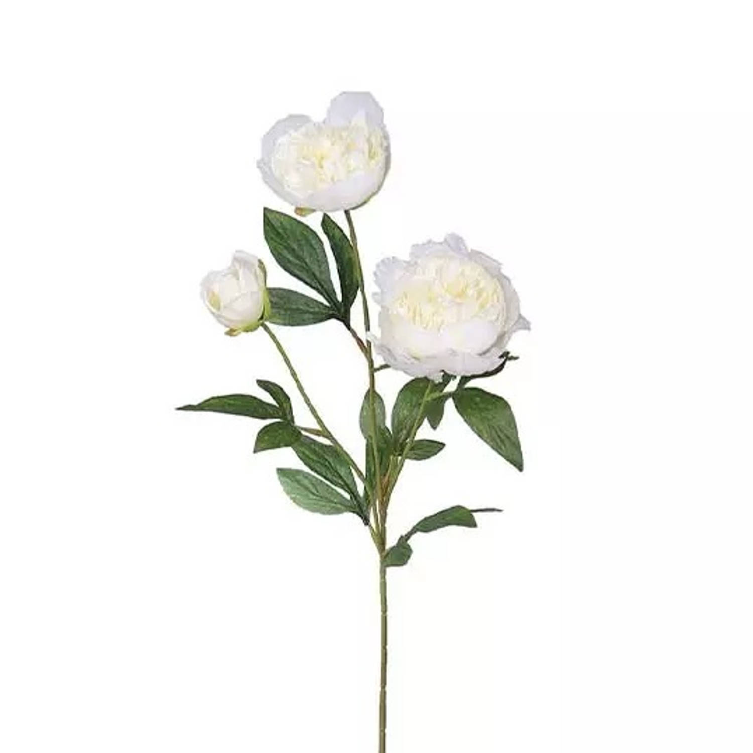 Buitengewoon de Boet Pioenroos Tak Cream 67 cm kunstplant