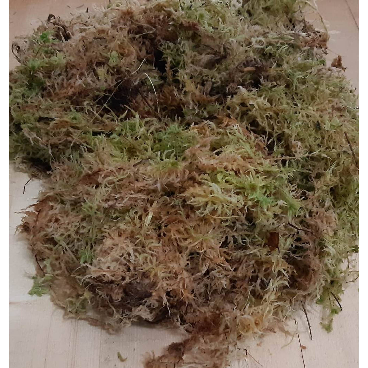 Sphagnum mos in bakje/zakje (los circa 3 liter) Warentuin Natuurlijk