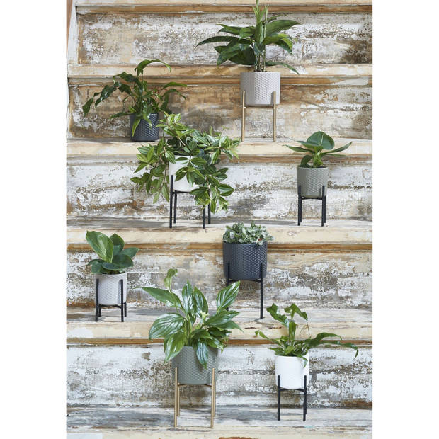 Goudkleurig ijzeren plantenkrukje/planten standaard Ascot 14 x 12 cm woonaccessoires/woondecoraties - Plantenstandaarden