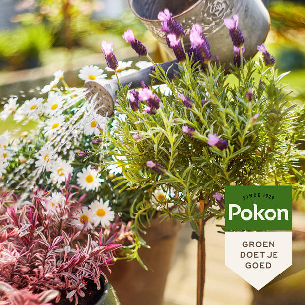 Bio Terras & Balkon planten voeding 500ml Pokon