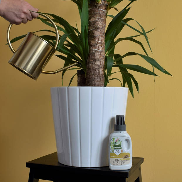 Bio Palm Voeding 250ml