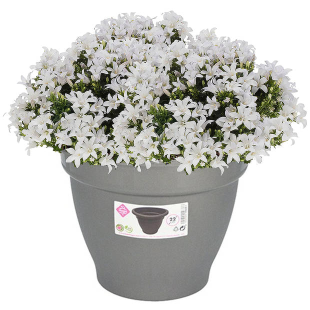 Hega Hogar Plantenpot/bloempot - grijs - 22 cm - kunststof - Plantenpotten