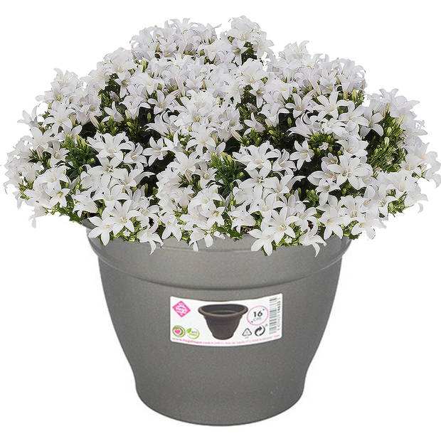 Hega Hogar Plantenpot/bloempot - grijs - 16 cm - kunststof - Plantenpotten