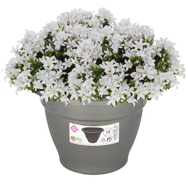 Hega Hogar Plantenpot/bloempot - grijs - 14 cm - kunststof - Plantenpotten