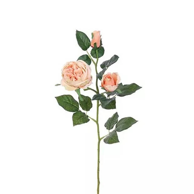 Buitengewoon de Boet - Engelse Roos Tak Zalm Roze 64 cm kunstplant