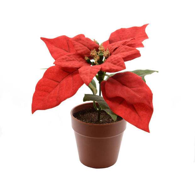 Decoris - Poinsettia zijde pot d16h14 cm kerstrood