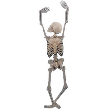 Horror/Halloween skelet - klimmend - 150 cm - kunststof - hangdecoratie - Halloween poppen