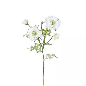 Buitengewoon de Boet - Scabiosa Tak Cream 60 cm kunstplant