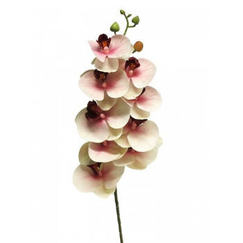 Nova Nature - Phalaenopsis Orchidee Bora 77 cm roze kunstbloem
