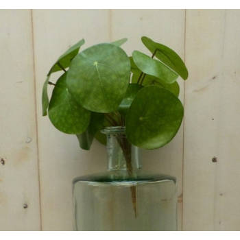 Warentuin Mix - Kunstpannenkoekplant op steker 25 cm