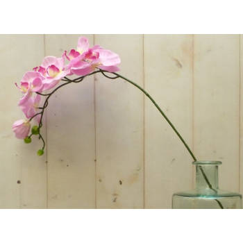 Warentuin Mix - Kunstvlinderorchidee groot op steker roze