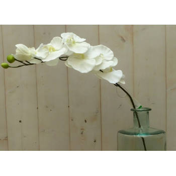 Warentuin Mix - Kunstvlinderorchidee op steker wit