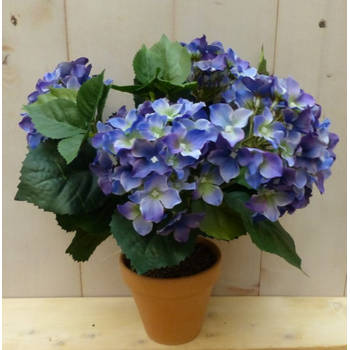 Warentuin Mix - Kunsthortensia blauw in pot 35 cm