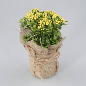 Oosterik Home - Plantje in jute zak Fleur geel