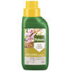 2 stuks Orchidee Voeding 250ml