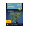 Lumineo - Plant lights l40h50 cm groen/kwrm kerst