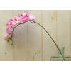 Warentuin Mix - Kunstvlinderorchidee groot op steker roze