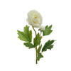 Ranunculus polyester W8-H57cm white