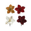 Everlands - Poinsettia polyester d10h2cm a4