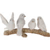 Nampook - Birds On Brach 16X7X7 cm Wit