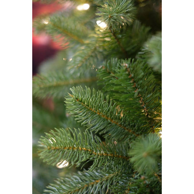 National Tree Company - Poly Bayberry Spruce kunstkerstboom Hinged 152 cm