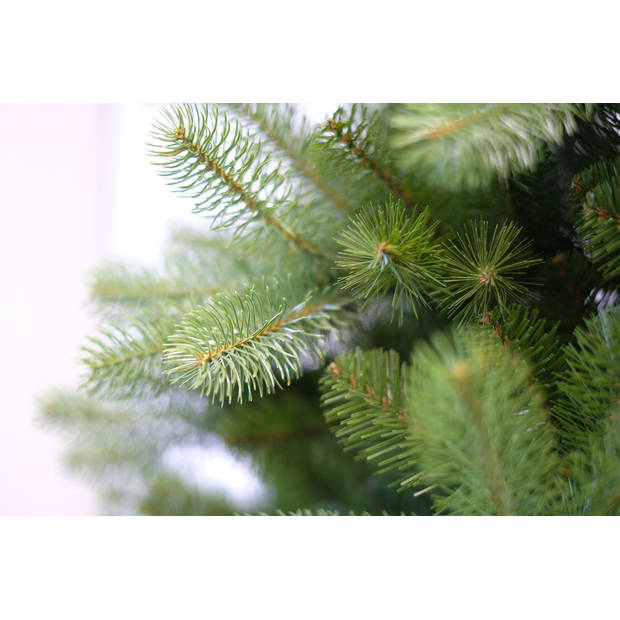 National Tree Company - Poly Bayberry Spruce kunstkerstboom Hinged 183 cm