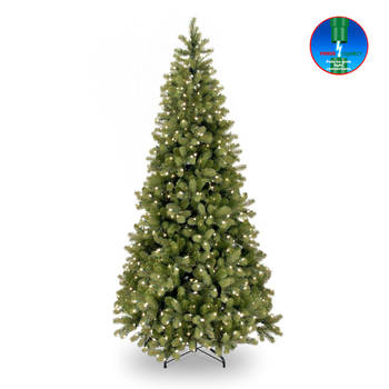 National Tree Company - Poly Bayberry Slim kunstkerstboom Hinged 183 cm met 350 LED Power Connect