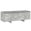 The Living Store Televisiemeubel - TV-kast - 120 x 30 x 40.5 cm - Betongrijs