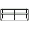 The Living Store Televisiekast Stereokast - 100 x 40 x 40 cm - Gehard glas - Zwart wit - Staal