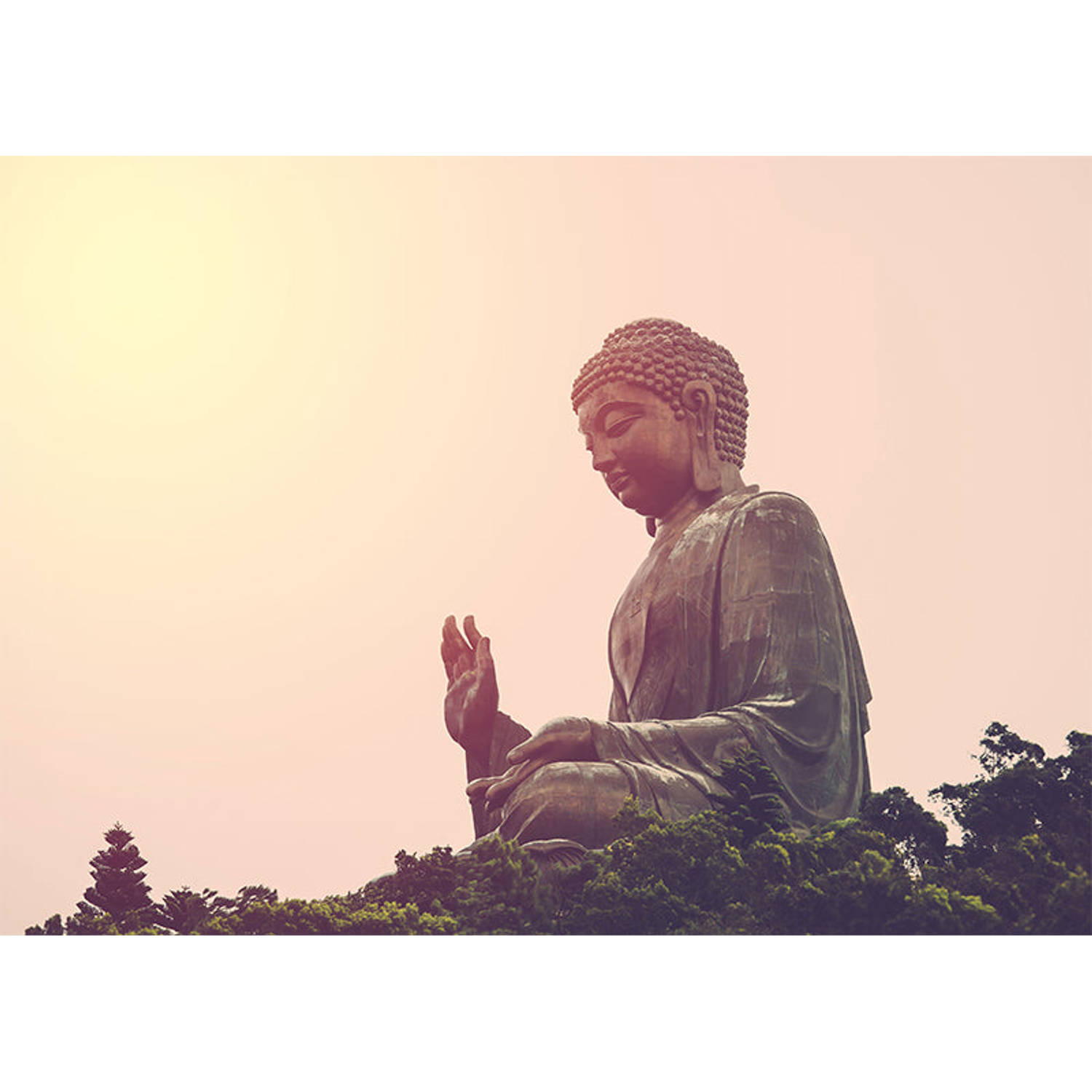 Inductiebeschermer - Tian Tan Boeddha - 82x52 cm