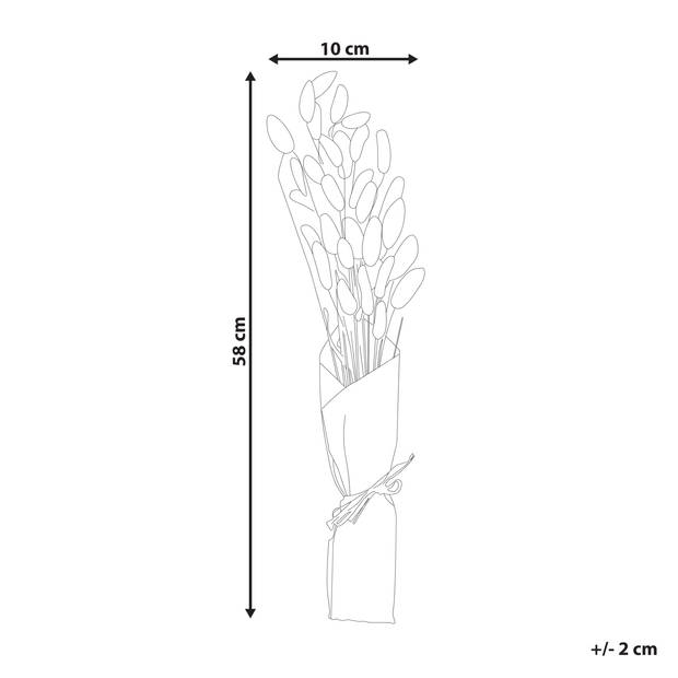 Beliani SANABRIA - Droogbloemen boeket-Natuurlijk-Droogbloemen