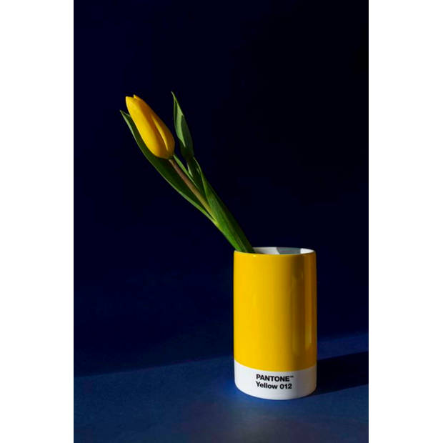 Copenhagen Design - Pennenhouder - Yellow 012 - Porselein - Geel