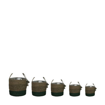 DKNC - Manden Paris - Zeegras - 38x36cm - Set van 5 - Groen