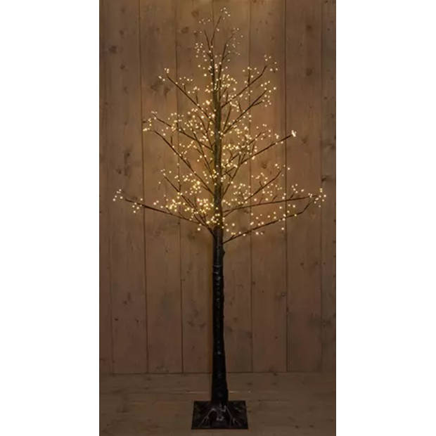 Anna's Collection - Led Black Oak-Tree 200Cm/660Led Classic - Included 4 Groundp