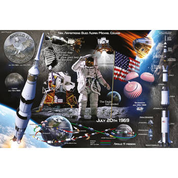 Poster Lunar Landing 91,5x61cm