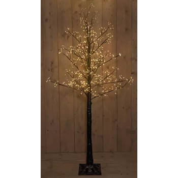 Anna's Collection - Led Black Oak-Tree 200Cm/660Led Classic - Included 4 Groundp