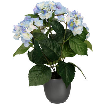 Hortensia kunstplant/kunstbloemen 40 cm - blauw - in pot mat zwart - Kunstplanten