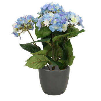 Hortensia kunstplant met bloemen blauw - in pot antraciet - 40 cm hoog - Kunstplanten