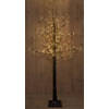 Anna's Collection - Led Black Oak-Tree 200Cm/660Led Classic - Included 4 Groundp