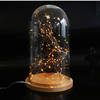 Decoratie stolp H25 cm- met draadverlichting koper -warm wit -100 leds - Decoratieve stolpen