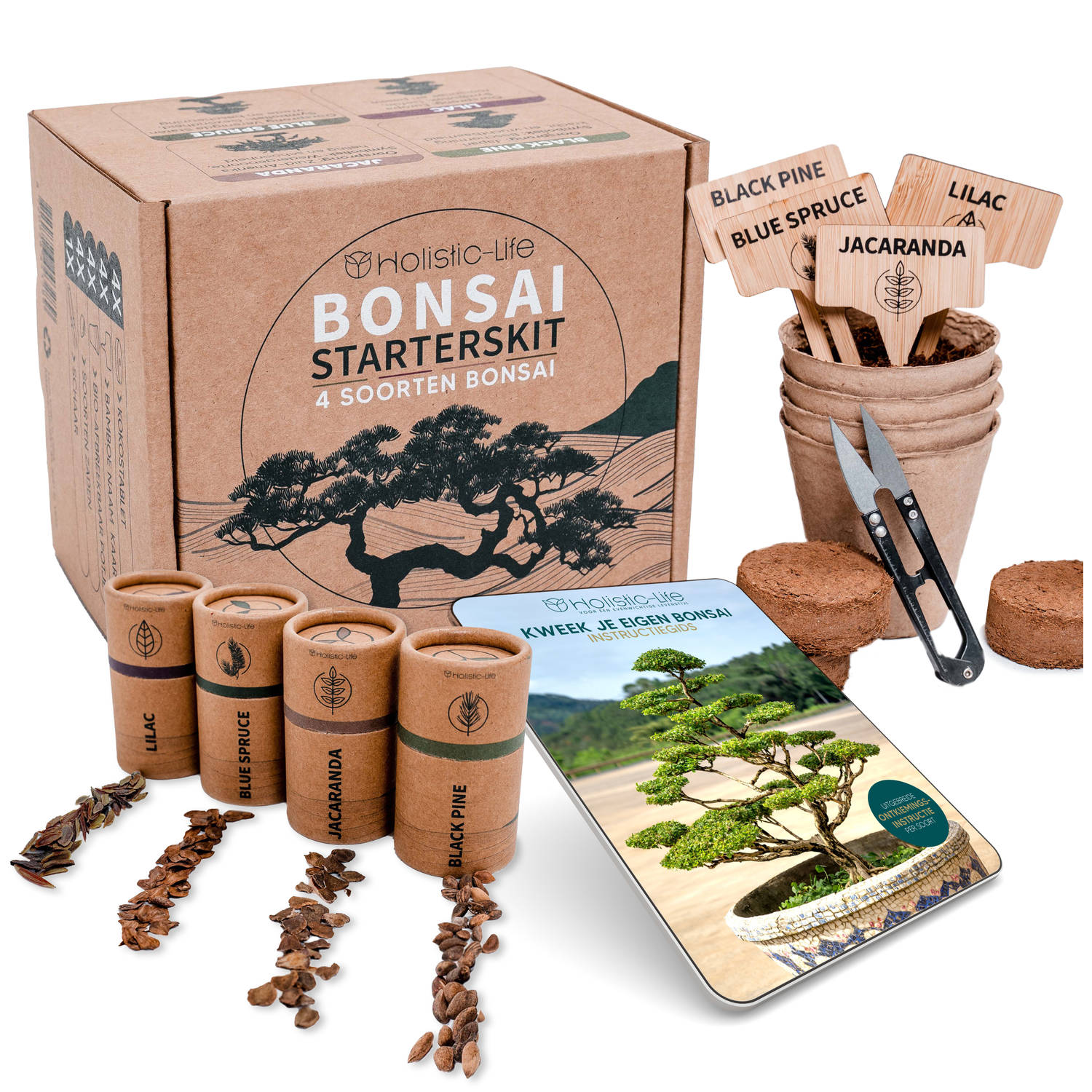 Bonsai Starters Kit met Uitgebreide Instructies – Bonsai Zaden Kit – Binnen Boompje Kweken - Kamerplanten – Kweekset Cadeau - Geschenkset
