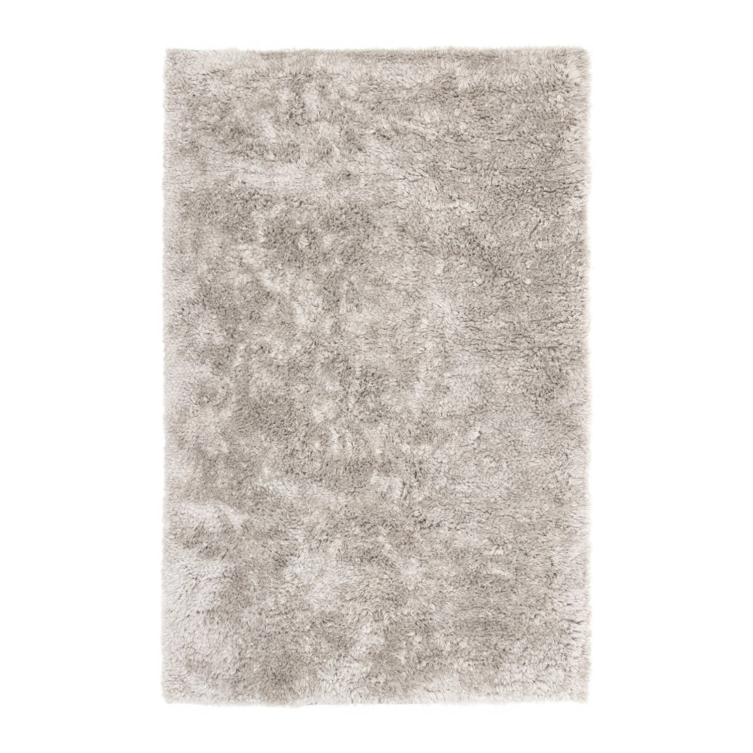 Hoogpolig vloerkleed Berbera Silver/Grijs Polyester/Pet Interieur05 Zilver - 200 x 290 cm - (L)