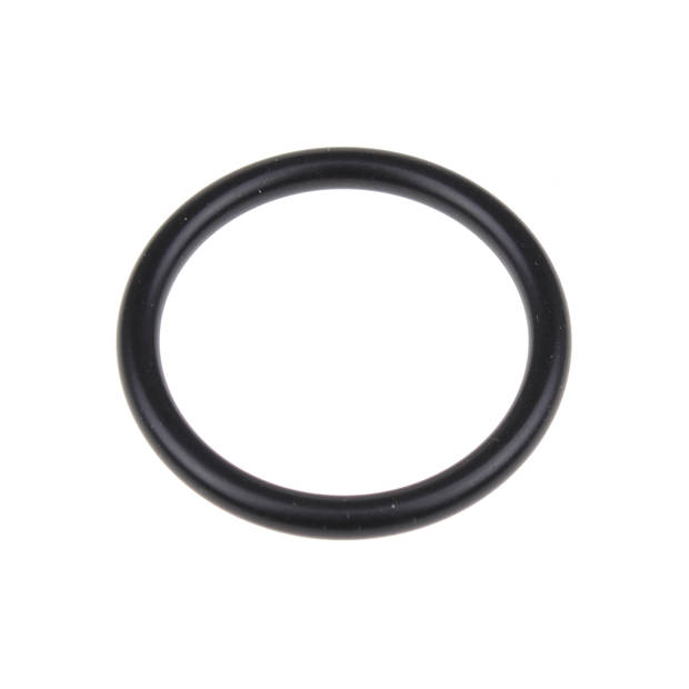 Delonghi Dichting Oring (wacker Lr3066)nero D=35 T=418 5313238581